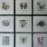 Serie Cubiculum Curiositatis