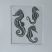 Hippocampus
