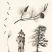 Pinus Sylvestris