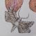 Physalis alkekengi II
